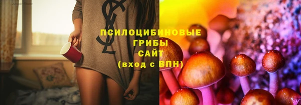 скорость Гусев