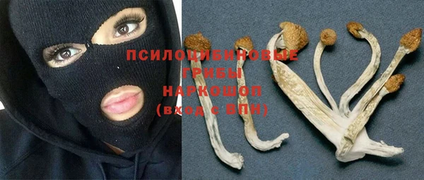 стафф Горняк