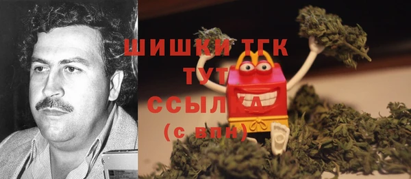 гидра Горно-Алтайск
