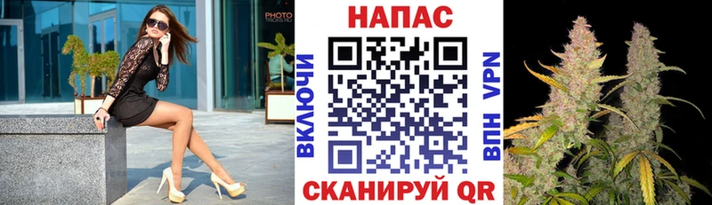 Шишки марихуана Amnesia  Ершов 